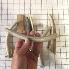 Load image into Gallery viewer, 6 pack antler chews