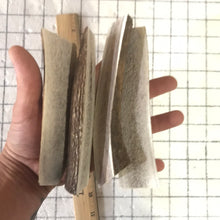 Load image into Gallery viewer, 4 pack medium split elk antler