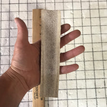 Load image into Gallery viewer, 1 Large Split Elk 7 inch