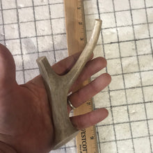Load image into Gallery viewer, Whole Medium Deer 6 inch