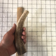Load image into Gallery viewer, Whole Large Elk Antlers 7 inch’s