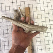 Load image into Gallery viewer, Whole Large Deer 7 inch