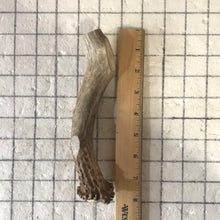 Load image into Gallery viewer, Whole Large Deer 7 inch