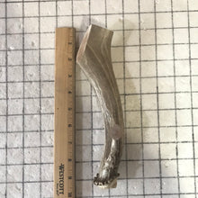 Load image into Gallery viewer, Whole Extra Large Deer 7-9 inches