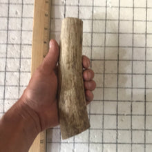 Load image into Gallery viewer, Whole Large Elk Antlers 7 inch’s