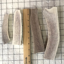 Load image into Gallery viewer, 2 lb elk antler dog chew bag
