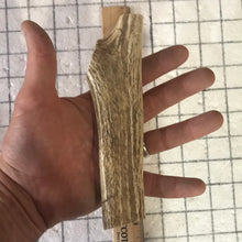 Load image into Gallery viewer, Whole Medium Elk Antlers 6+inch’s