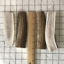 Load image into Gallery viewer, 4 pack medium split elk antler