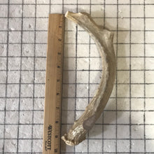 Load image into Gallery viewer, Whole Extra Large Deer 7-9 inches