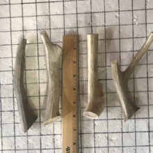 Load image into Gallery viewer, Whole Medium Deer 6 inch