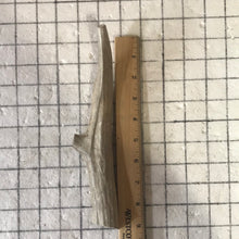 Load image into Gallery viewer, Whole Large Deer 7 inch