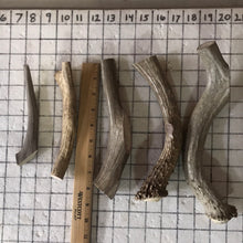 Load image into Gallery viewer, 2 lb deer antler bag
