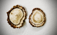 Load image into Gallery viewer, image