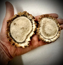 Load image into Gallery viewer, image_f409f2fe-fbca-4fce-a9ae-cd6c7f2ae3ab