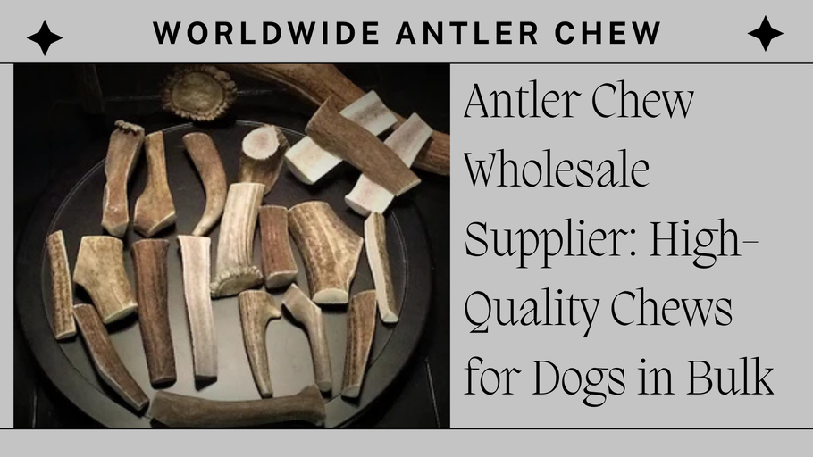 Antler Chew Wholesale Supplier: High-Quality Chews for Dogs in Bulk