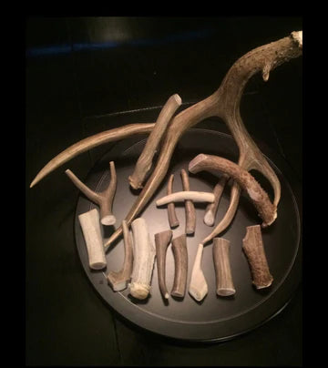 Antler Chews: A Treat Of Flavor &amp; Highly Digestible Minerals For Dogs With No Harmful Chemicals &amp; Preservatives