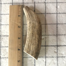Load image into Gallery viewer, Whole Small Elk Antlers 4-5 inch’s
