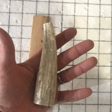 Load image into Gallery viewer, Whole Small Elk Antlers 4-5 inch’s
