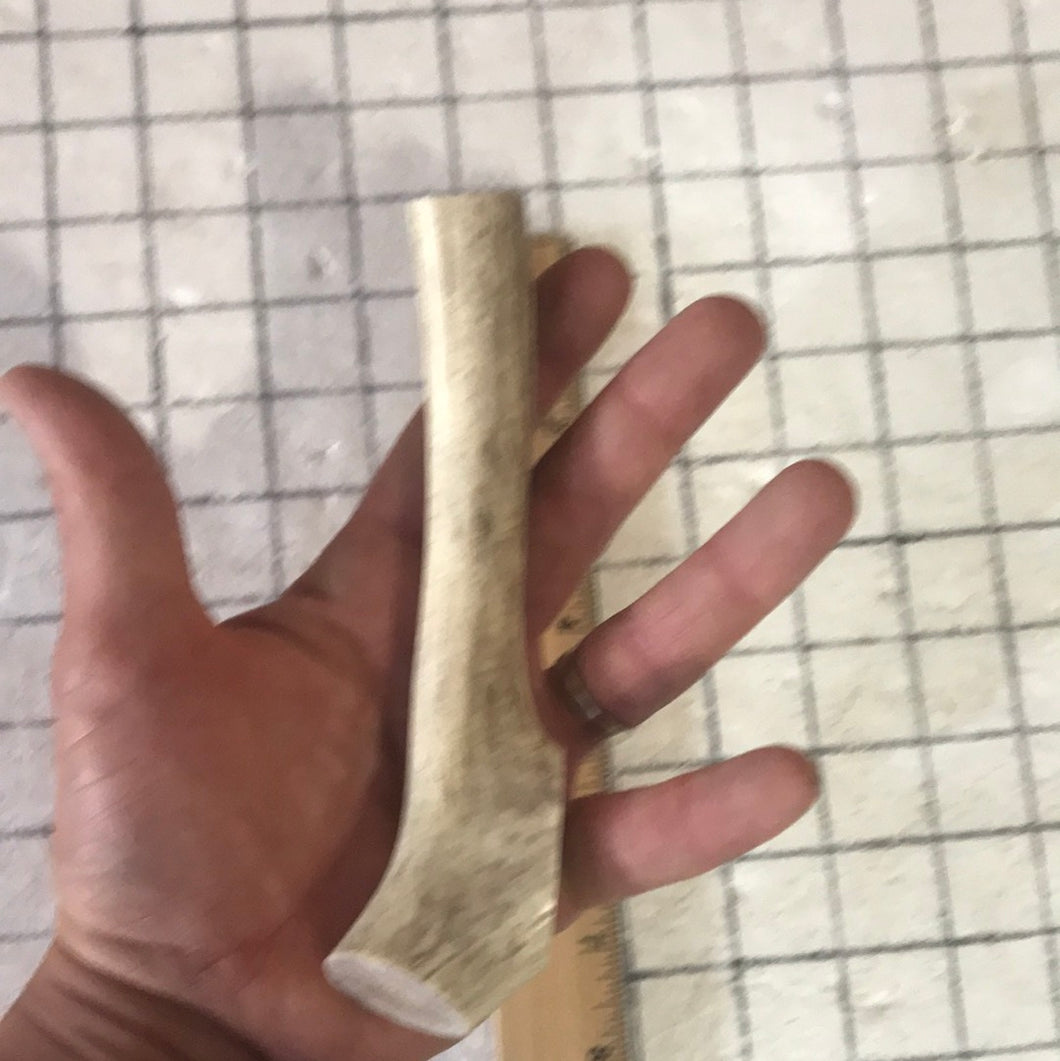 Whole Medium Deer 6 inch