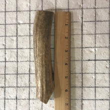 Load image into Gallery viewer, Whole Medium Elk Antlers 6+inch’s
