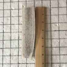 Load image into Gallery viewer, Medium split antler
