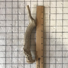 Load image into Gallery viewer, Whole Large Deer 7 inch
