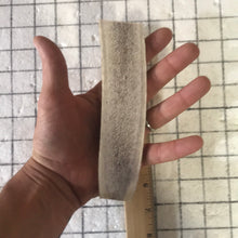 Load image into Gallery viewer, Medium split antler
