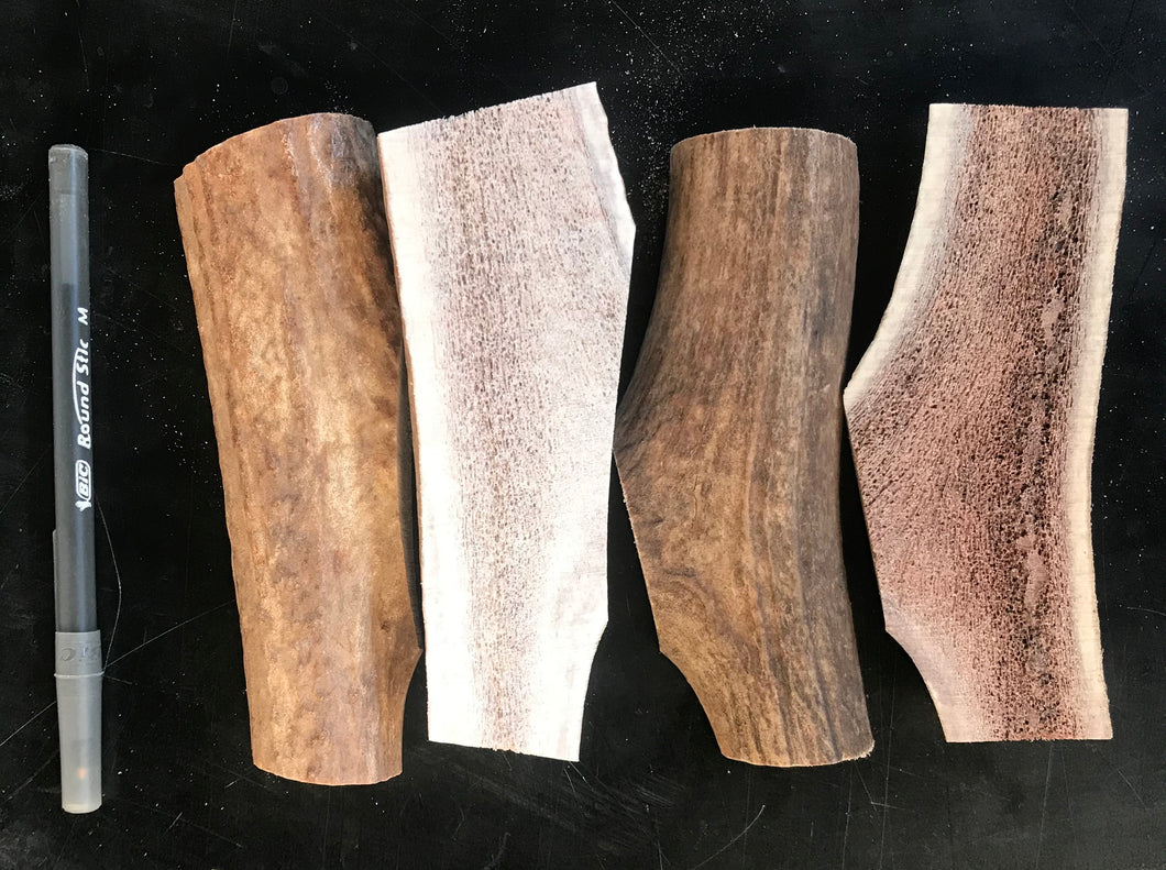 4 pack medium split elk antler