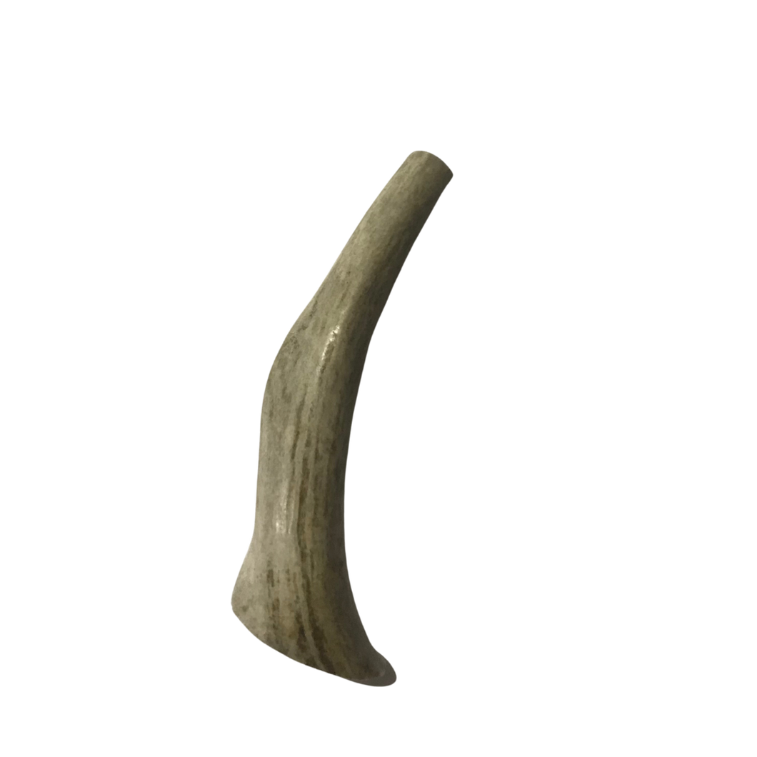 Whole Medium Deer 5-6 inches