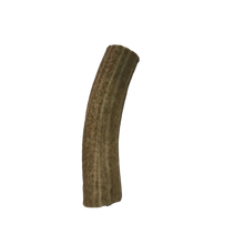 Load image into Gallery viewer, Whole Extra Large Elk 7-8 inch’s
