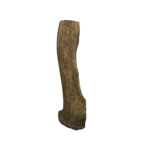 Load image into Gallery viewer, Whole Jumbo Elk 8-10 inches
