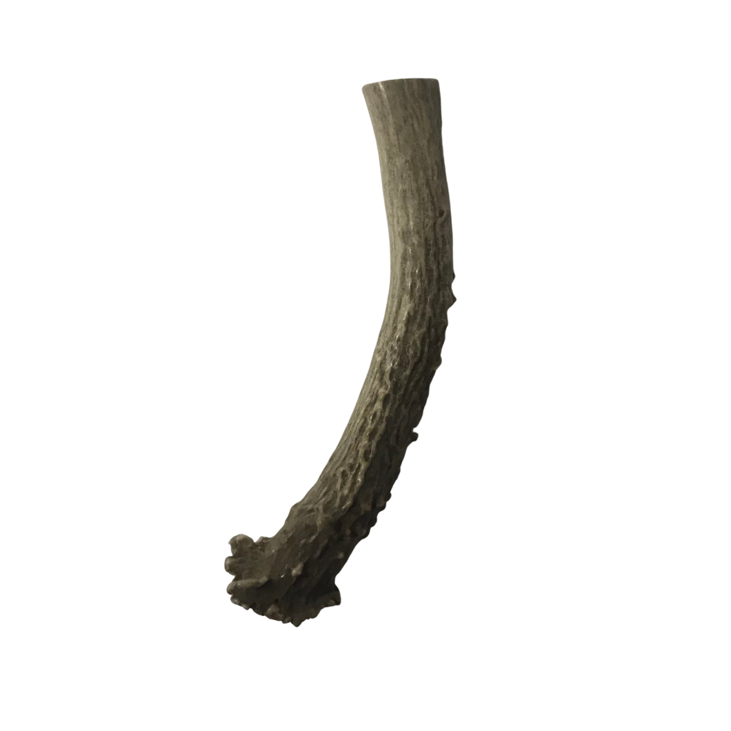 Whole Large Deer 7 inch