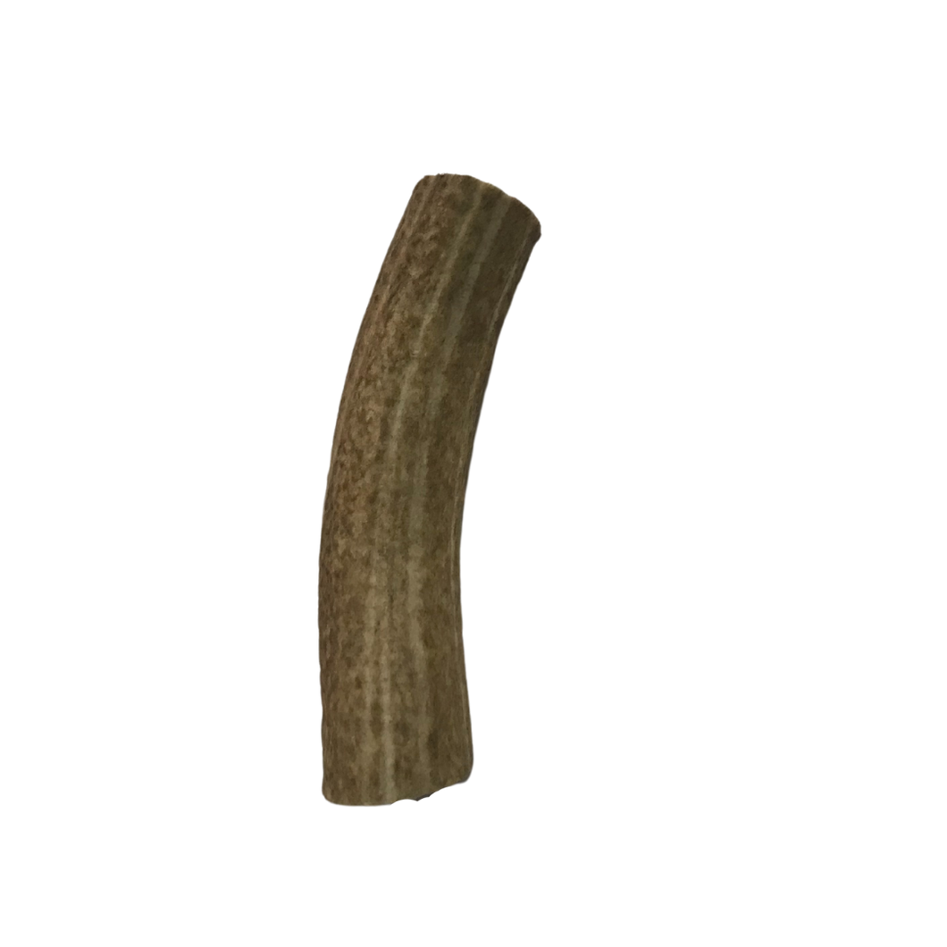 Whole Extra Large Elk 7-8 inch’s